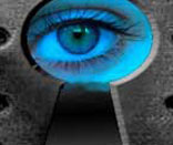 Voyeur and Exhibitionist Night